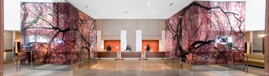 The Park Hyatt Washington