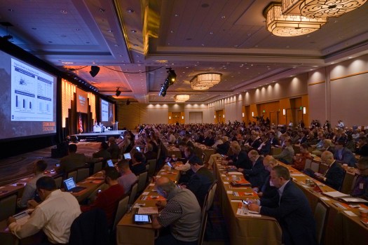 bank_director_temporary_number_13